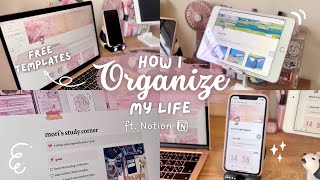 How I organize my life as a teacher YouTuber language learner and a student through Notion 💻✨ [upl. by Marquardt]