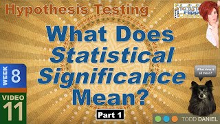 What Statistical Significance Means – Part 1 811 [upl. by Luke]