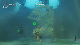 The Legend of Zelda Breath of the Wild  100 Run  Day 117 [upl. by Gnal861]