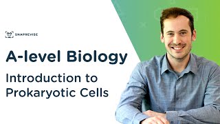 Introduction to Prokaryotic Cells  Alevel Biology  OCR AQA Edexcel [upl. by Lednyc]