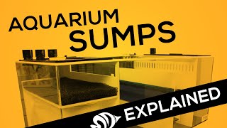 Aquarium Sumps EXPLAINED Your Hub for Water Filtration and Automation Hardware [upl. by Lemak]