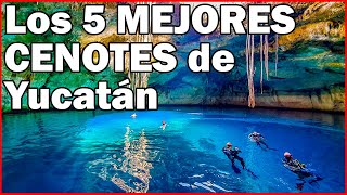 CENOTES de YUCATÁN ⭐ Los 5 mejores  Viajando con Memo [upl. by Calhoun188]