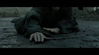 Death of Nagini and Lord Voldemort  Harry Potter and the Deathly Hallows 2 [upl. by Young]