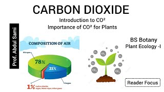 CARBON DIOXIDE  Introduction and Importance of CO² for Plants [upl. by Nneb914]