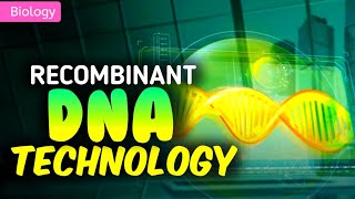 RECOMBINANT DNA TECHNOLOGY  3D ANIMATION  PWNEETWallah [upl. by Zahavi]