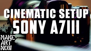 SONY A7III SETUP ALL CINEMATIC FUNCTIONS [upl. by Nellaf]