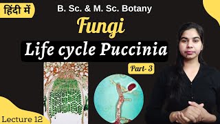 Fungi  Life cycle of Puccinia Part2  in Hindi  Botany  B Sc amp M Sc [upl. by Ecitnirp]