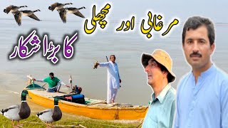 Murghabi Aor Machli Ka Barra Shikar🐧🐟 مرغابی اور مچھلی کا بڑا شکار  Daily Routine [upl. by Ylebmik]