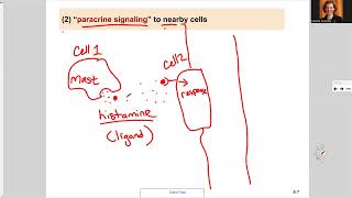 181 Ch9 Four Cell Signaling Categories [upl. by Darryn]