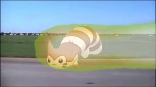 Furret Runs As Fast As He Possibly Can [upl. by Donahoe]