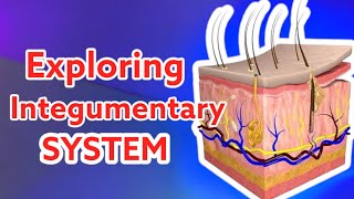 SCIENCE 6 QUARTER 2 l Exploring the Human Integumentary System Parts amp Functions l [upl. by Lipcombe]