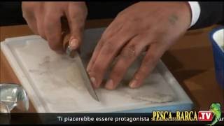 Come innescare il calamaro parte 1di2  Pesca dalla Barca TV [upl. by Anitsej]