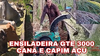 ENSILADEIRA GTE 3000 PRODUÇÃO DE CANA E CAPIM AÇU [upl. by Ellimac]