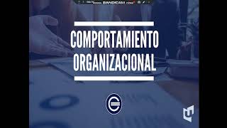 COMPORTAMIENTO ORGANIZACIONAL CLASE 1 [upl. by Inness]