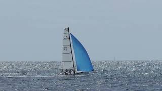 Nacra F18  Spinnaker [upl. by Audris]