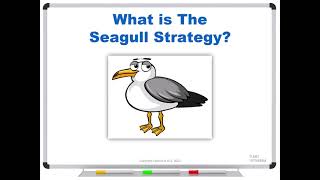 What is The Seagull Strategy [upl. by Etnovad]