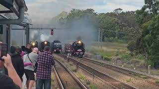 2023 steamfest race with steam engines r76660295917and 3801 with 3801 the winner of the race [upl. by Nemrak]