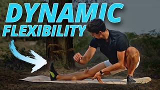 30 Minute Dynamic Flexibility Routine FOLLOW ALONG [upl. by Halet997]