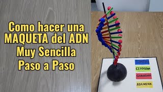 Como hacer una MAQUETA del ADN muy SENCILLA Paso a Paso  How to make a DNA model [upl. by Loar255]