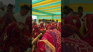 Rajasthani culture shortvideo viralshorts rajasthanistatus trendingshorts [upl. by Potash]