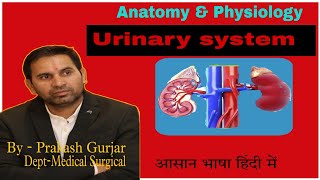 Urinary system renal system complete notes lecture part 1 [upl. by Ofloda]