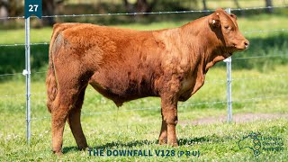 Lot 27  THE DOWNFALL V128 P R U [upl. by Llednov691]