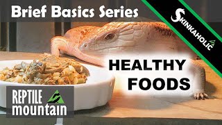 Blue Tongue Skink Food  Brief Basics 3 [upl. by Eelyma535]