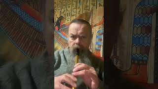 Penny Whistle Playtime 4 pennywhistle tinflute fun [upl. by Nobell]