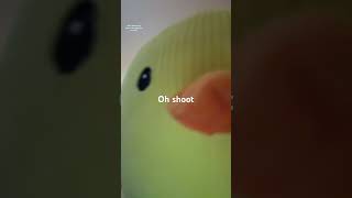 Waddle waddle waddle funny duck memes trend foryou [upl. by Etnohs704]