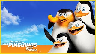 Cabo es el héroe del día 🐧🐧  DreamWorks Madagascar en Español Latino [upl. by Riha]