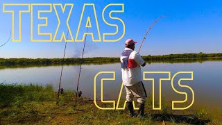 TEXAS sized Catfish 4 of them [upl. by Arella861]