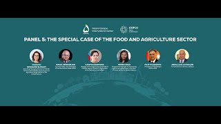 Panel 5  XXIX HLM quotPathway to COP29 Sustainable and Resilient Futurequot [upl. by Ennylyak723]