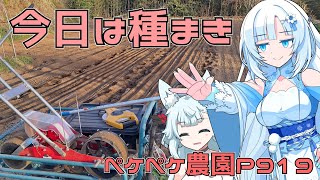 2024年2月28日 農作業日誌P919 お天気良好なので予定通りに種まきを進めるよ [upl. by Alleynad64]