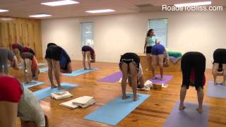 Adho Mukha Svanasana amp Uttanasana with Lois Steinberg Certified Iyengar Yoga Teacher Advanced 2 [upl. by Corri]