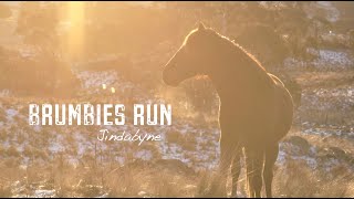 Brumbies Run  92B Chongs Rd Jindabyne Australia [upl. by Dweck145]