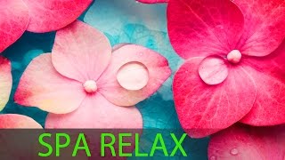 6 Hour Super Relaxing Spa Music Meditation Music Massage Music Relaxation Music Soothing ☯594 [upl. by Ayanej]