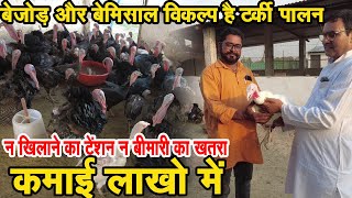 फार्मिंग से कमाने है पैसे तो करें टर्की की फार्मिंग  300 रुपये किलो की बिक्री Turkey Bird Farming [upl. by Grier]