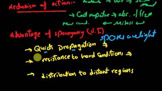 Biology  Reproduction  L4  Sporogony [upl. by Ateuqirne]