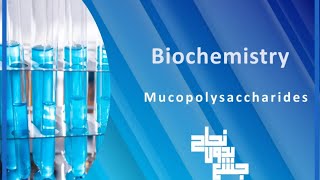 L3 Carbohydrates Chemistry 3 Hetero polysaccharide glycoproteins amp proteoglycans biochemistry [upl. by Aisauqal]