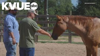 Equine therapy at Restoration Ranch helping veterans heal [upl. by Acherman]