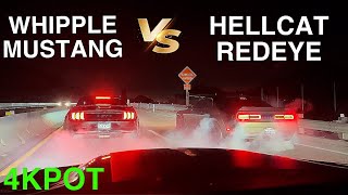 WHIPPLE MUSTANG VS HELLCAT REDEYE 4KPOT hellcat mexico mustang whipplesupercharger [upl. by Eetsud]