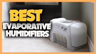 10 Best Evaporative Humidifiers 2023 [upl. by Edita]