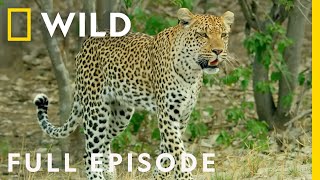 Win or Die Full Episode  Savage Kingdom [upl. by Illehs]