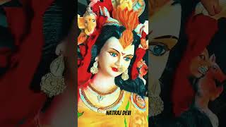 shote video Natraj devi maa ki pratima 2024 Guna [upl. by Meibers263]