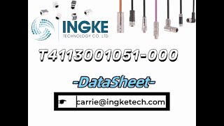 T4113001051000 DataSheet  ingketechnet [upl. by Ileray]