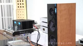 Audio Physic 하이엔드 초입에 서있는 세련된 사운드 [upl. by Ahsiad110]