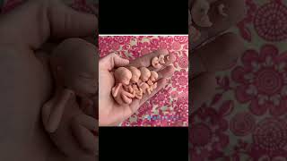 foetus development stages inside mother womb 🤰 knowledge shortvideo easylearning share medical [upl. by Alexander976]