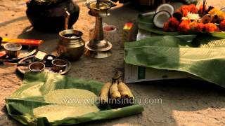 Pongal fruits and flowers offered to Sungod on Kaanu Pongal [upl. by Anina]