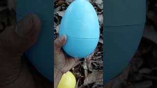 Finding millipede and big eggs egg millipede [upl. by Tiffie]