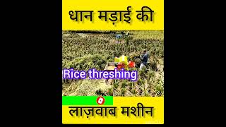 Modern and Smart Rice threshing machinefarmingagriculture equipment [upl. by Lenneuq570]